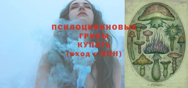 СК Верея